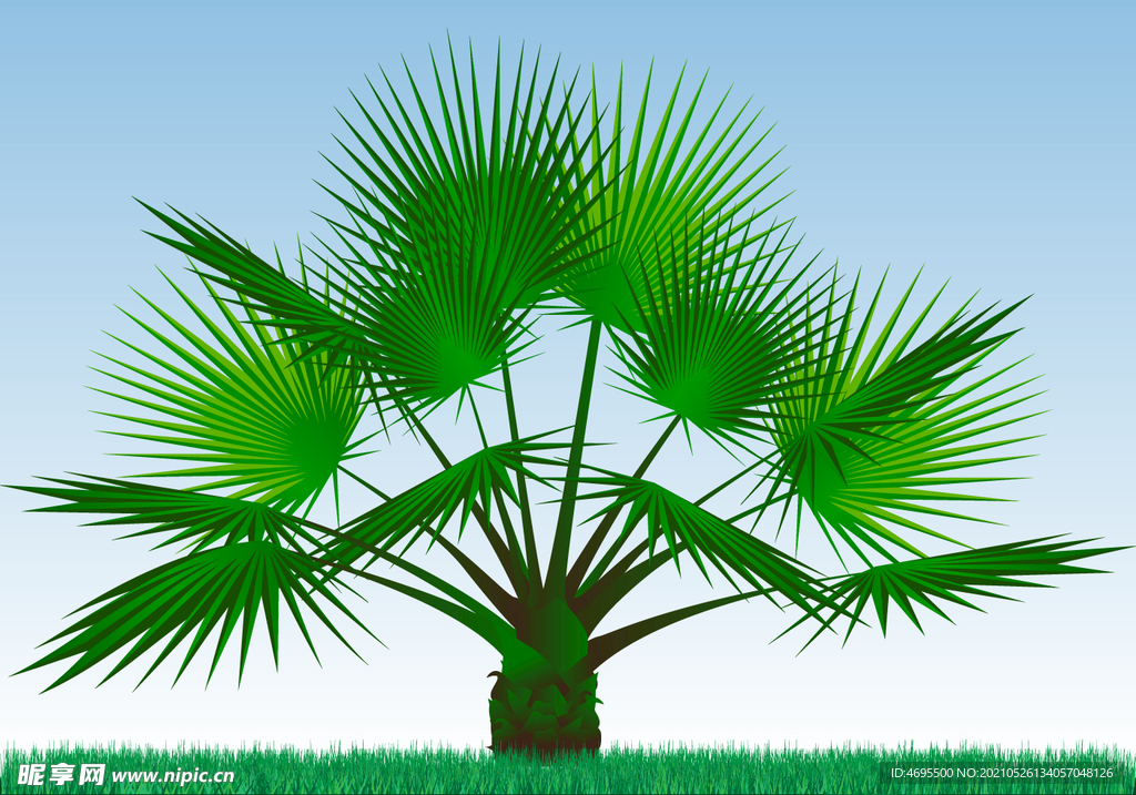 卡通棕榈树矢量图