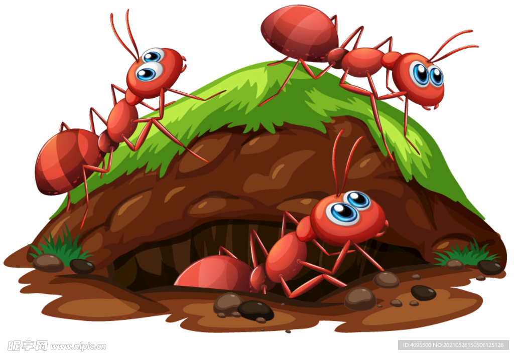 卡通手绘可爱红蚂蚁