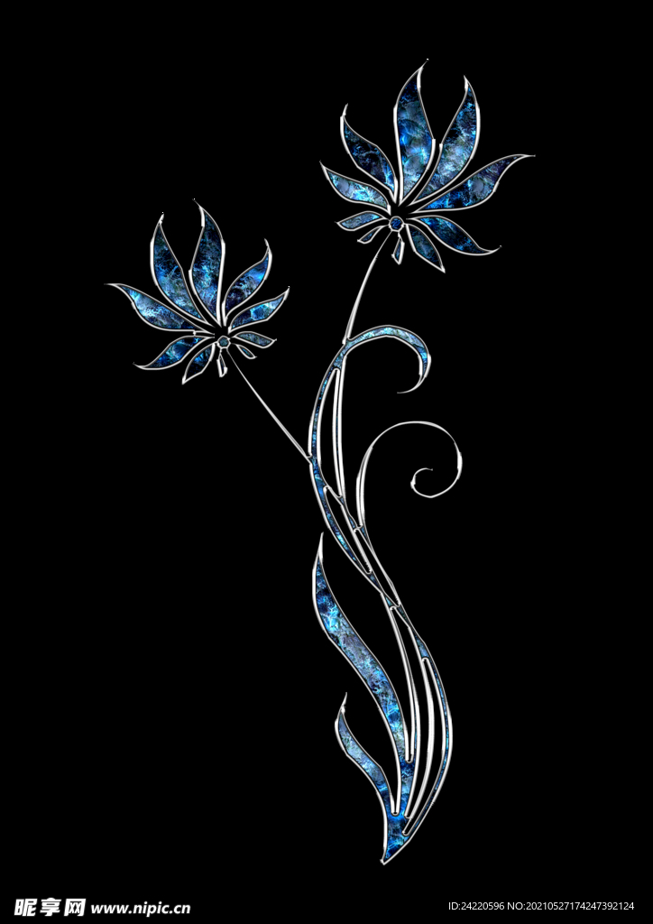蓝宝石花