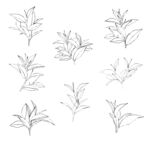 花草矢量线稿素材