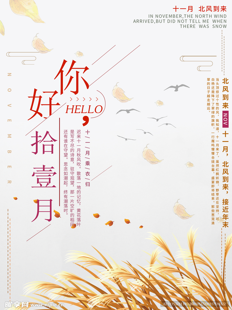 11月海报