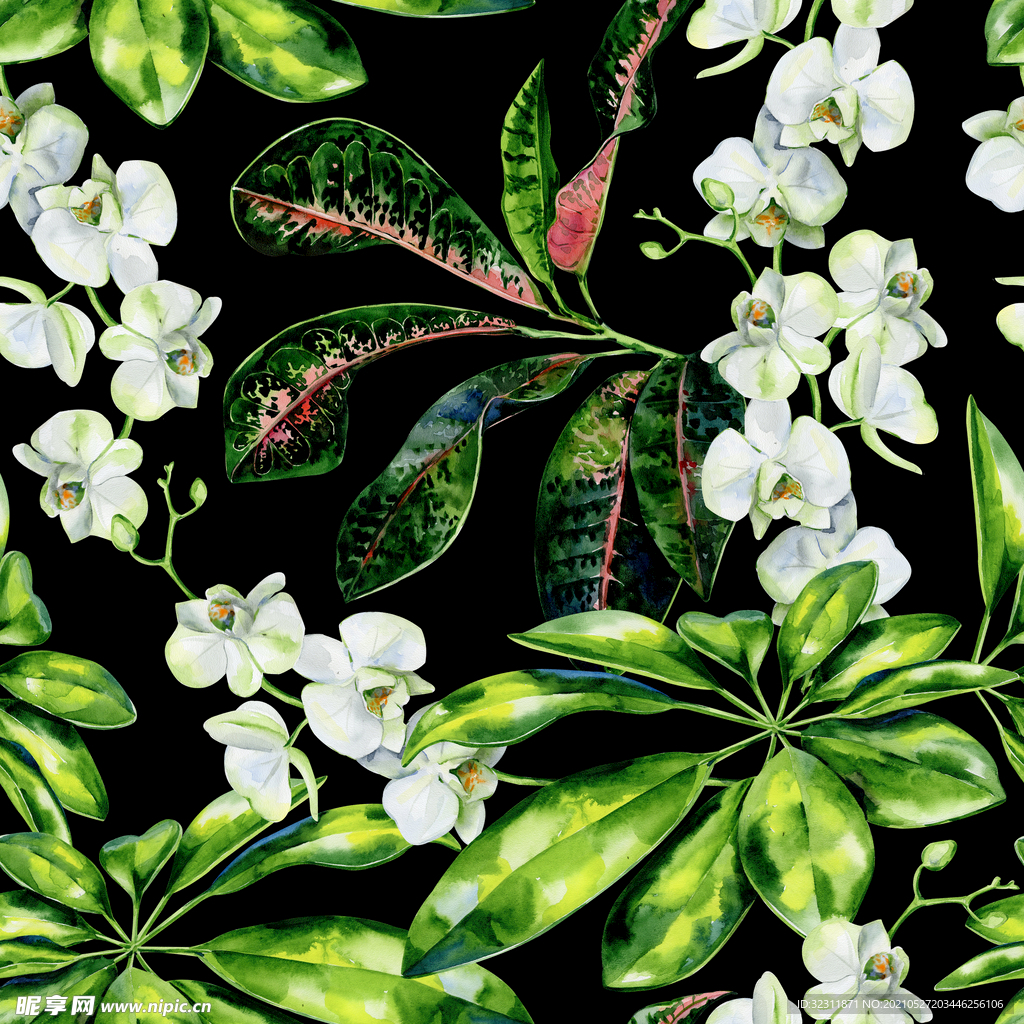 绿叶白花