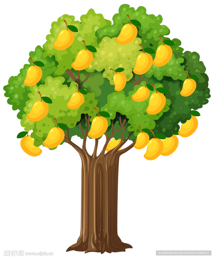卡通芒果树
