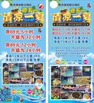 清凉一夏海报