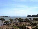 奥克兰海滨风景