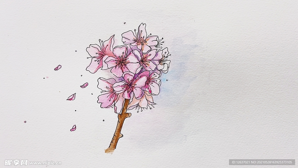 樱花花团