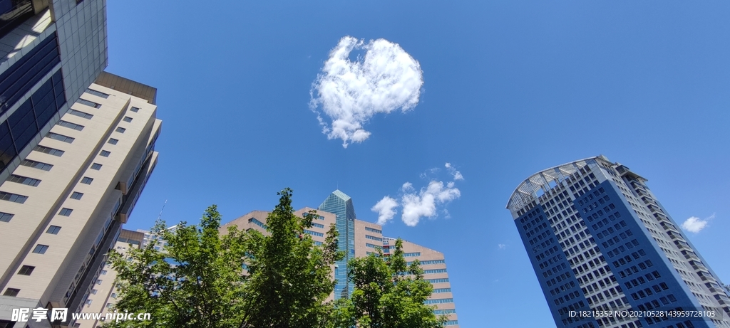 城市