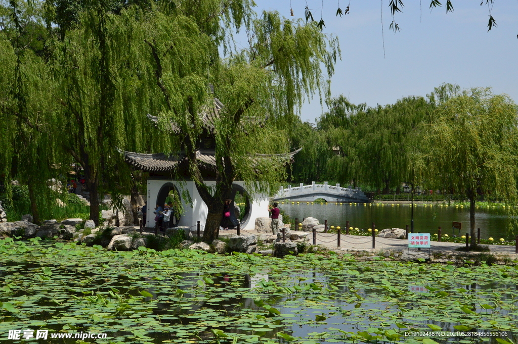 园林风景