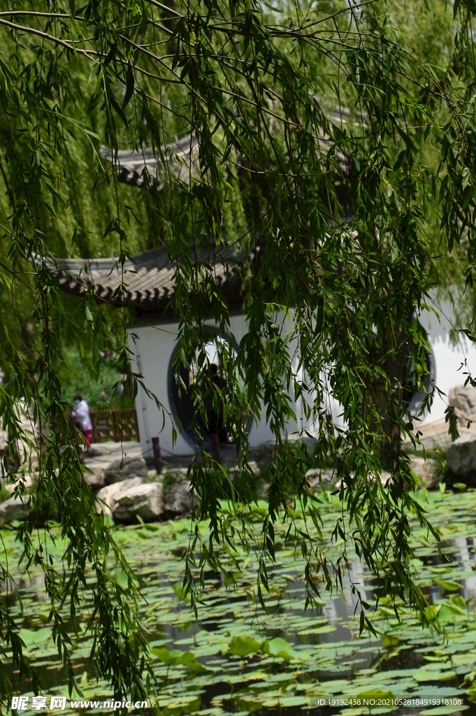 园林风景