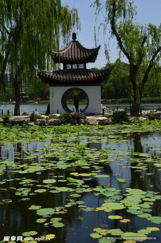 园林风景