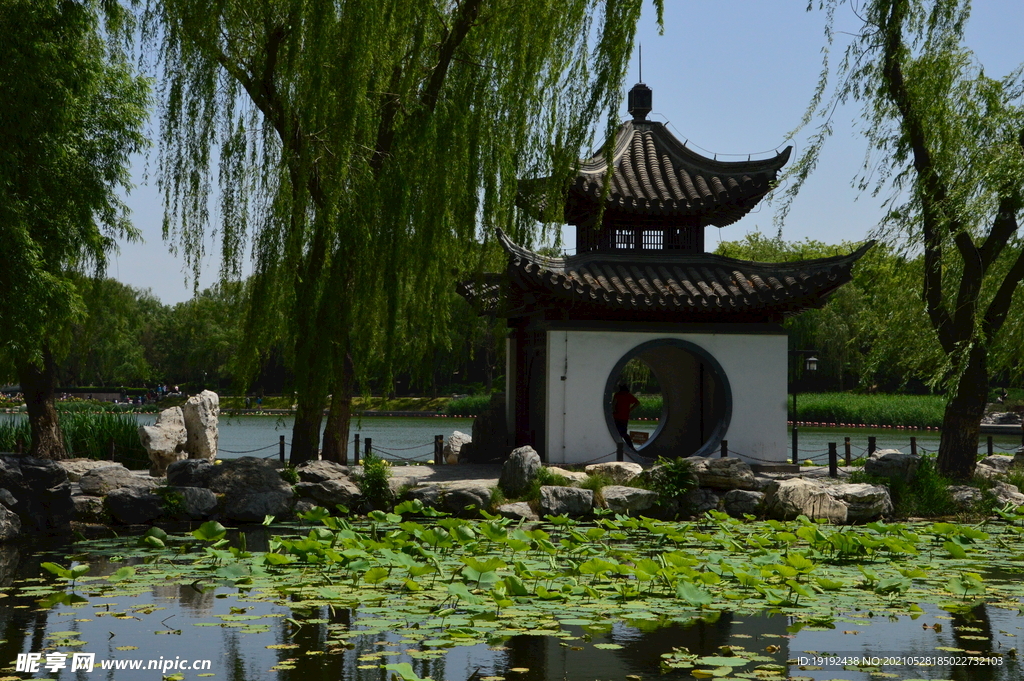 园林风景