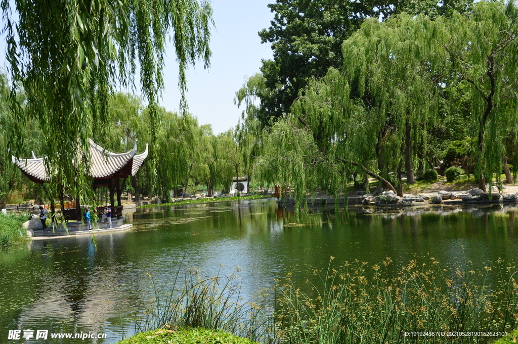 园林风景