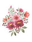 花纹  