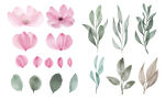 花纹  
