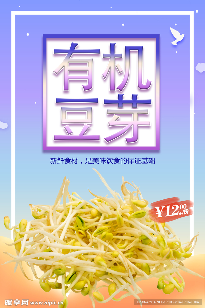 豆芽