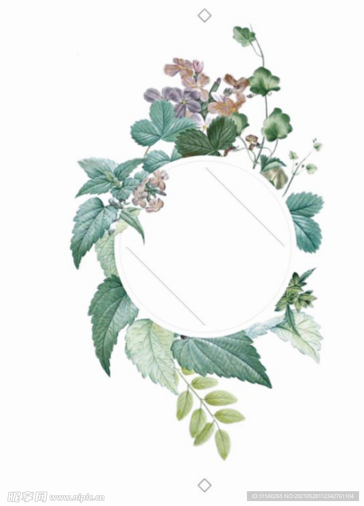 花边 花艺