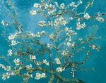玉兰花树枝艺术装饰画