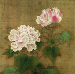 芙蓉仟像调色版高清图