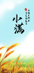 二十四节气小满