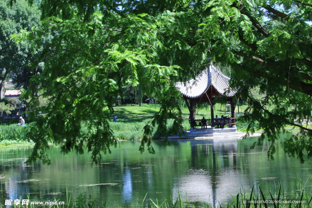 园林风景 