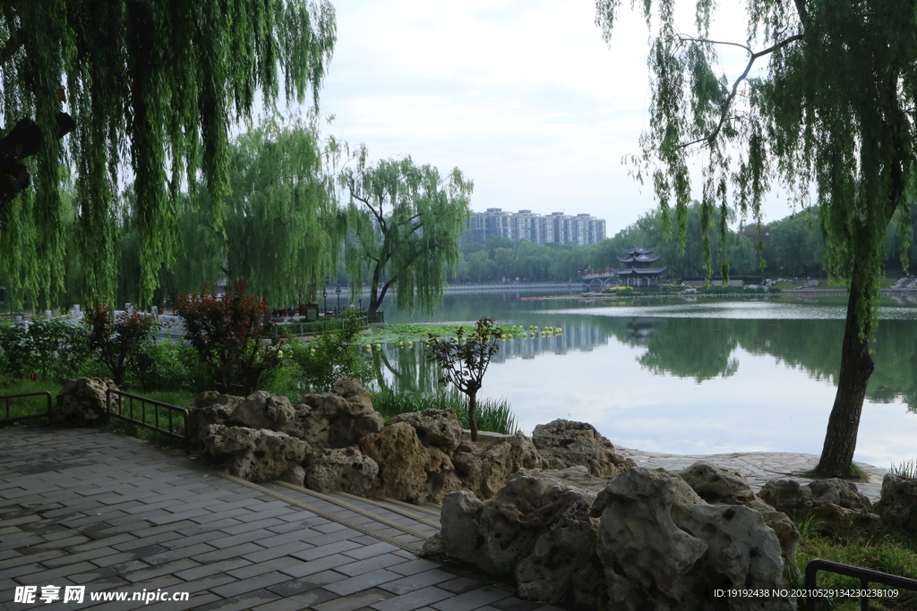 园林风景