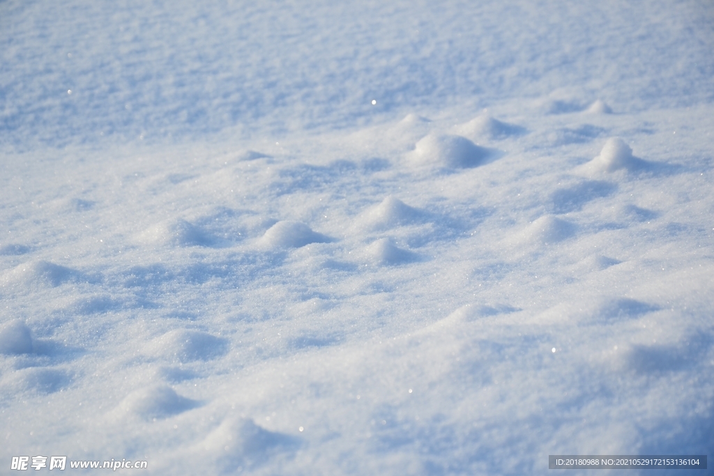雪地