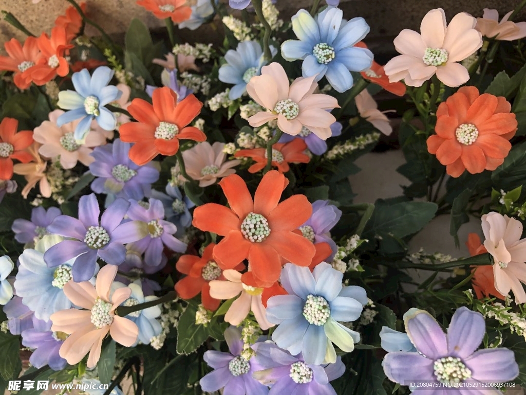花丛