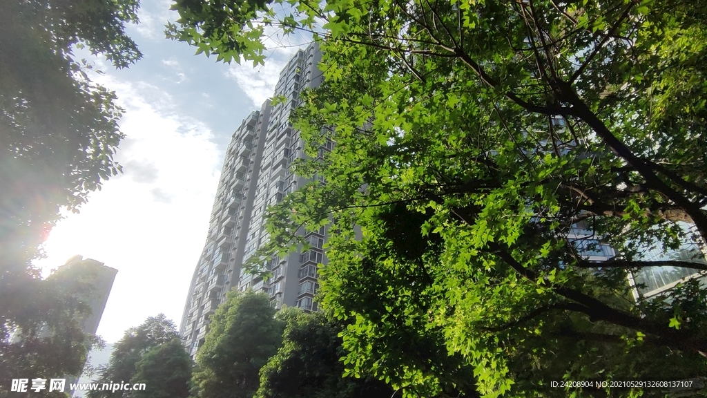 夏天 建筑 