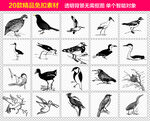 飞鸟免抠素材