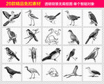 飞鸟免抠素材