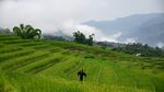 梯田