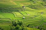 梯田