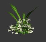 桌花3d模型