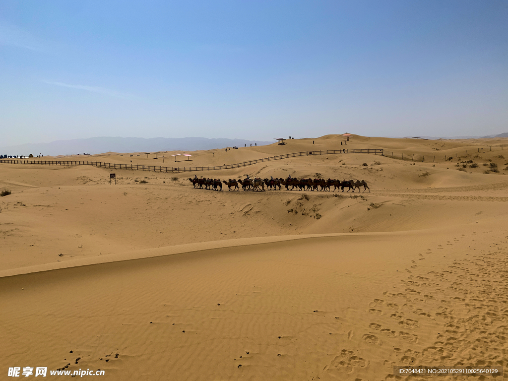 蓝天沙漠 驼队