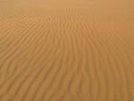 金色海纹沙漠