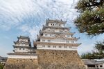 城堡             