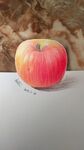 手绘彩铅苹果