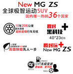 MG 手举牌