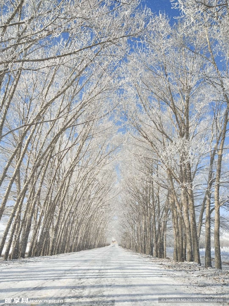 雪景