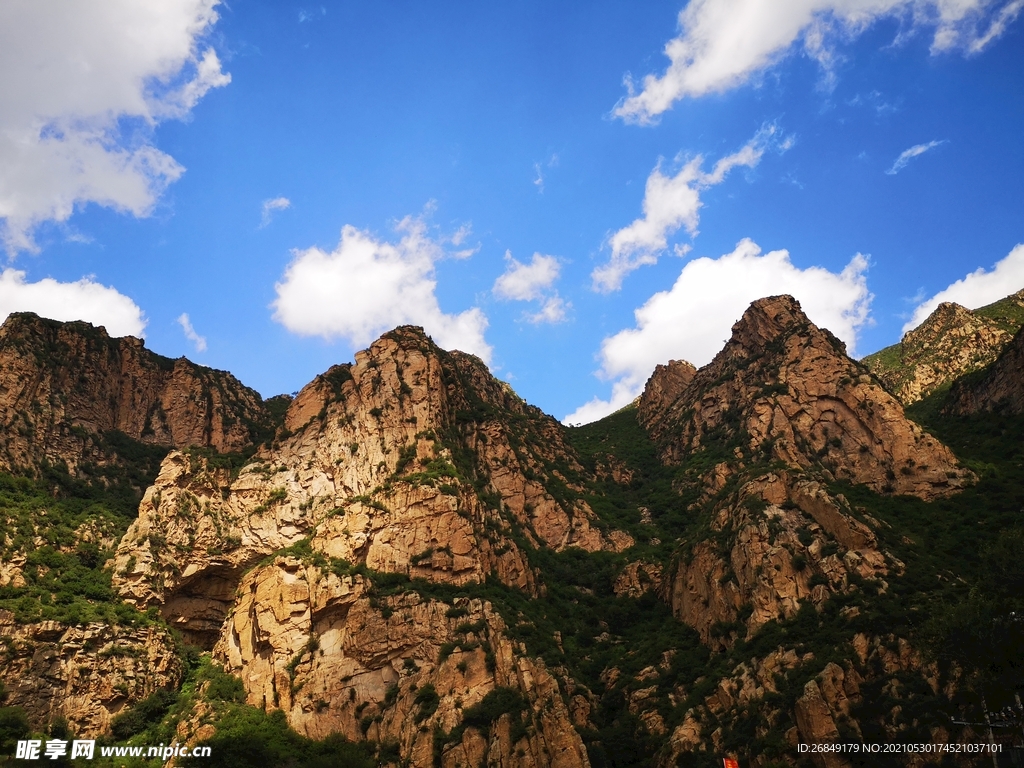 山