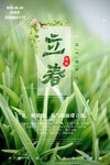 立春海报