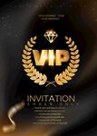 VIP海报 