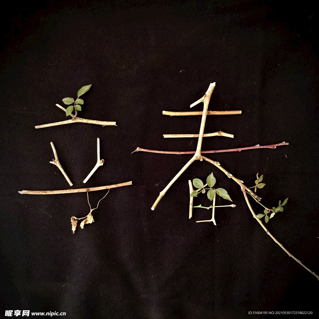 枯木逢春