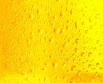 啤酒