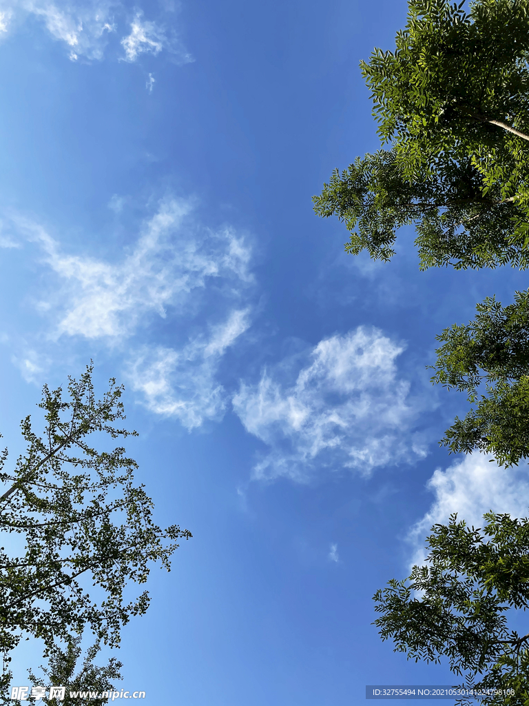 天空树