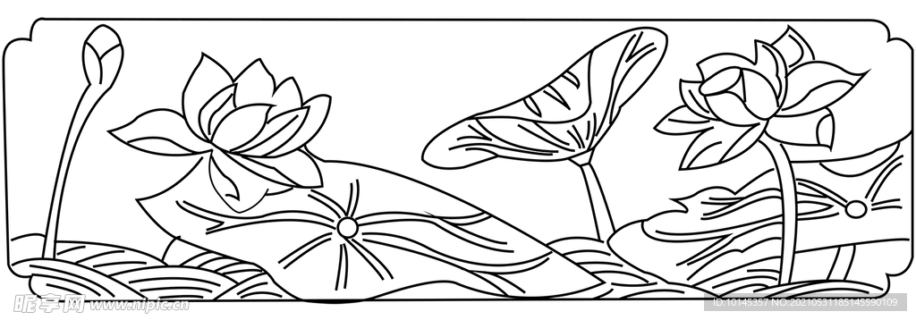 荷花