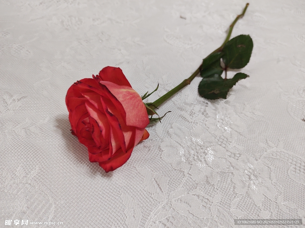 花              