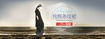 服装海报