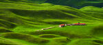 一望无际的草原风景
