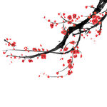 梅花